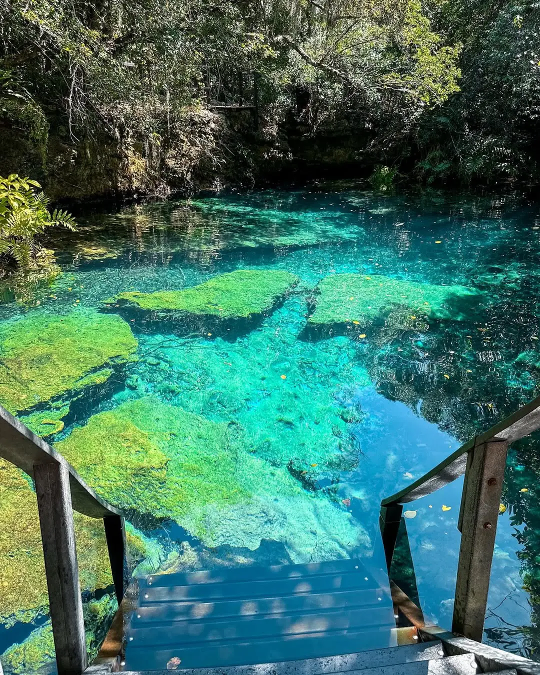 Reserva ecológica Ojos Indígenas. Cortesía de @vanespinal. | NOTICIARIO RD Reserva ecológica Ojos Indígenas. Cortesía de @vanespinal.