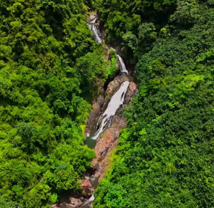 Paisaje natural camino a la cascada blanca en el Seibo. Cortesía de Andariero DO