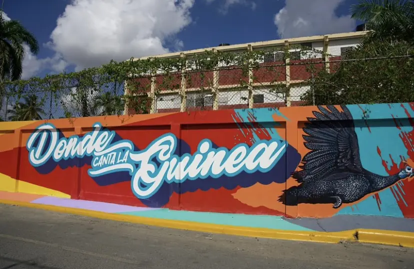 Screenshot | NOTICIARIO RD Mural "Donde canta la guinea" en Cotuí, provincia Sánchez Ramírez. Foto por do.municipiosaldia.com