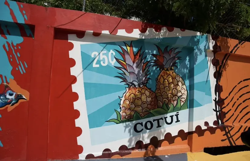 Screenshot | NOTICIARIO RD Mural de la piña de la provincia Sánchez Ramírez. Foto por do.municipiosaldia.com