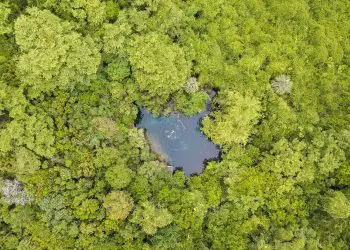 Reserva ecológica Ojos Indígenas. Cortesía de Tripadvisor.