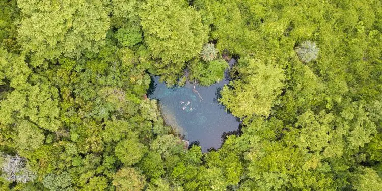 Reserva ecológica Ojos Indígenas. Cortesía de Tripadvisor. | NOTICIARIO RD Reserva ecológica Ojos Indígenas. Cortesía de Tripadvisor.