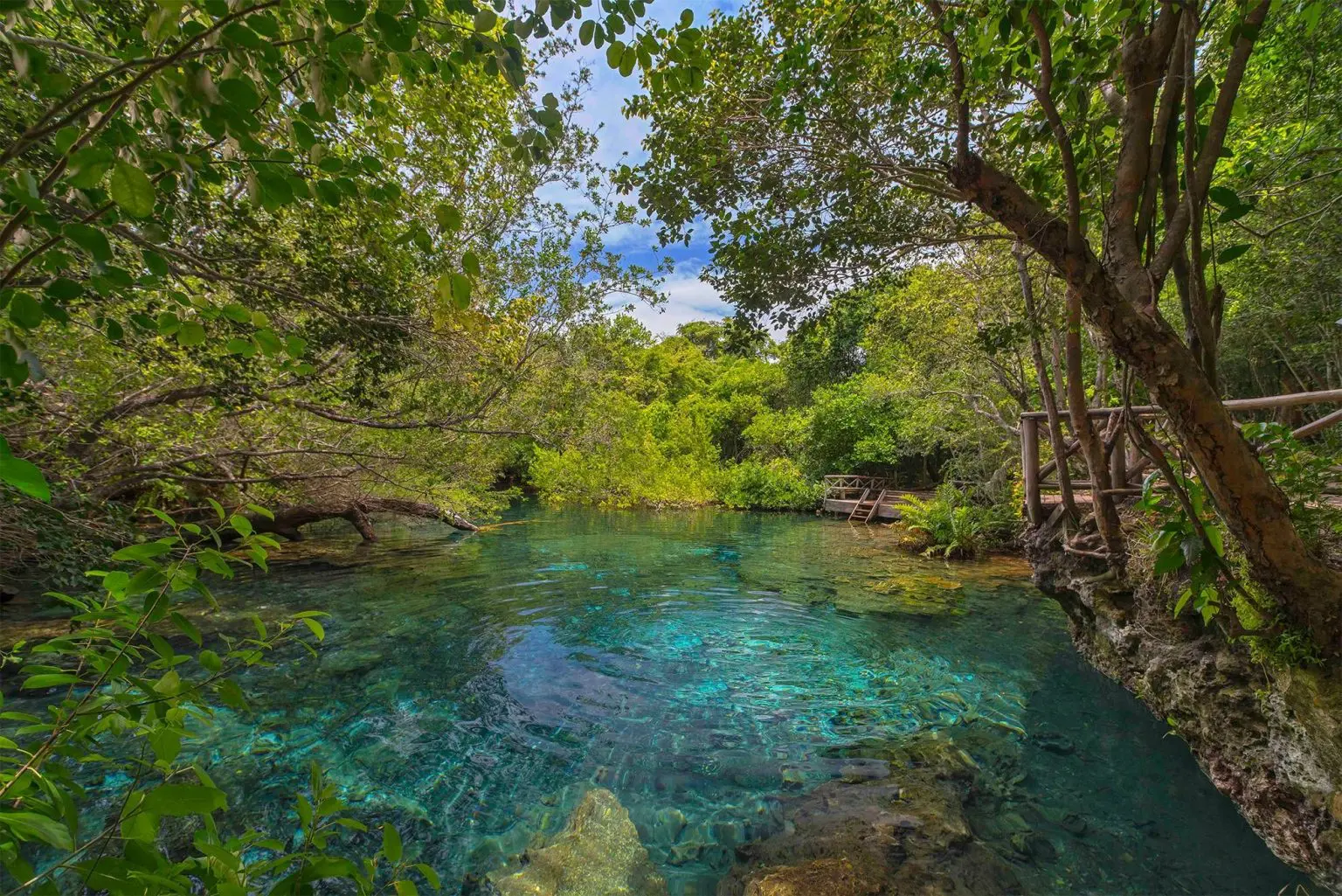 Reserva ecológica Ojos Indígenas. Cortesía de lahaciendapark.com | NOTICIARIO RD Reserva ecológica Ojos Indígenas. Cortesía de lahaciendapark.com