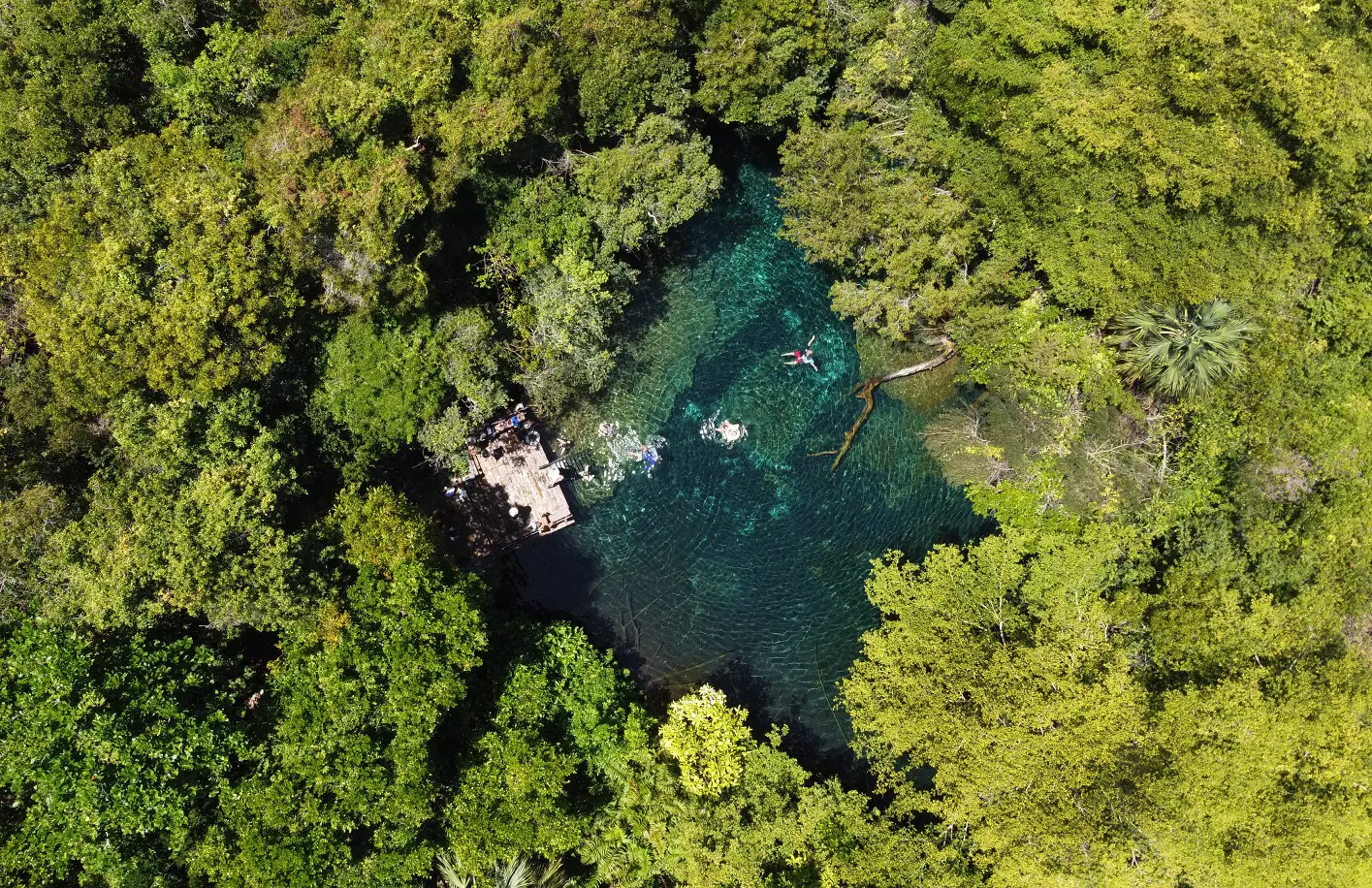 Reserva ecológica Ojos Indígenas. Cortesía de Grupo Puntacana. | NOTICIARIO RD Reserva ecológica Ojos Indígenas. Cortesía de Grupo Puntacana.