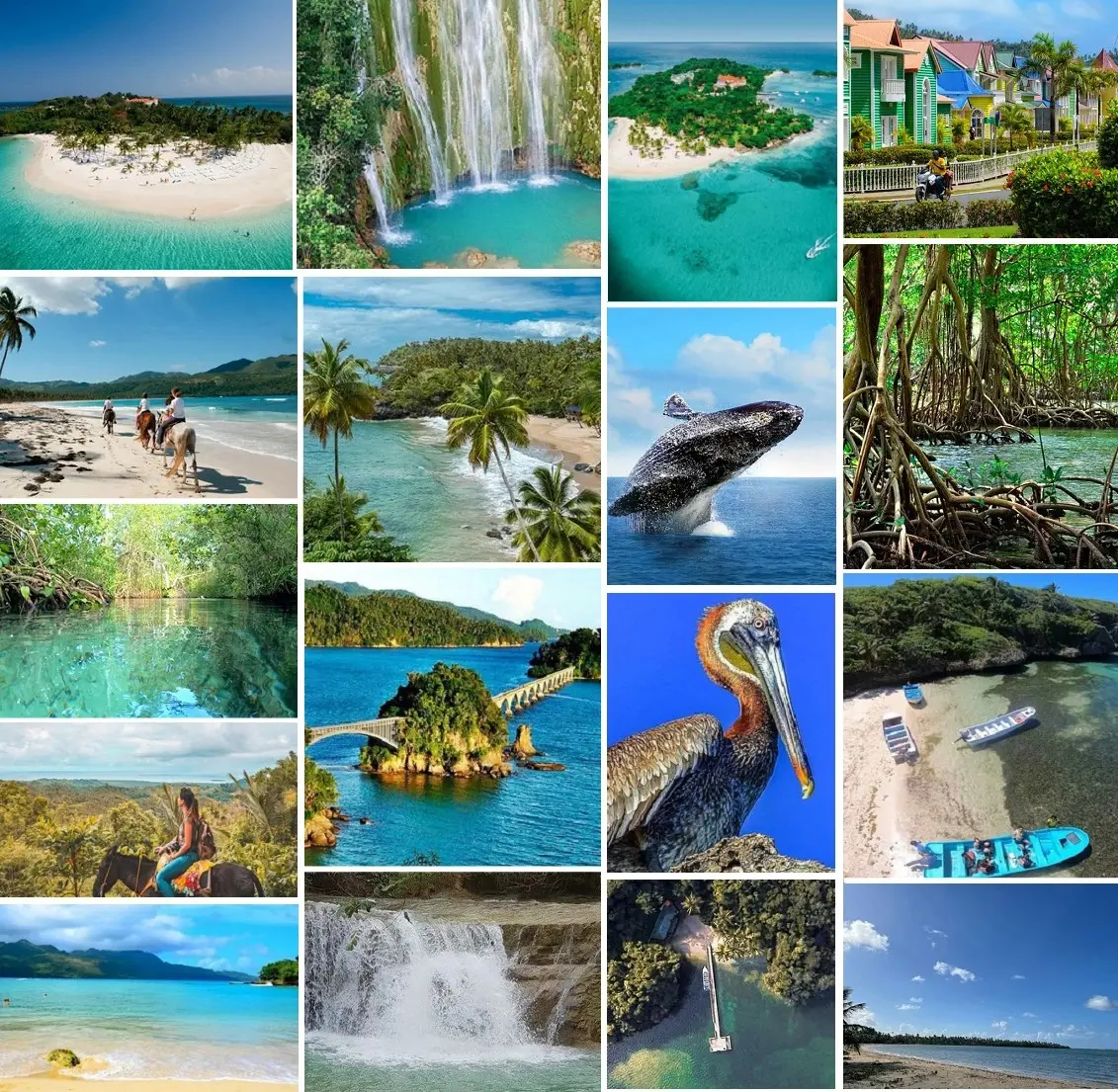 sass | NOTICIARIO RD Imágenes de Samaná. Collage por fliphtml5.com