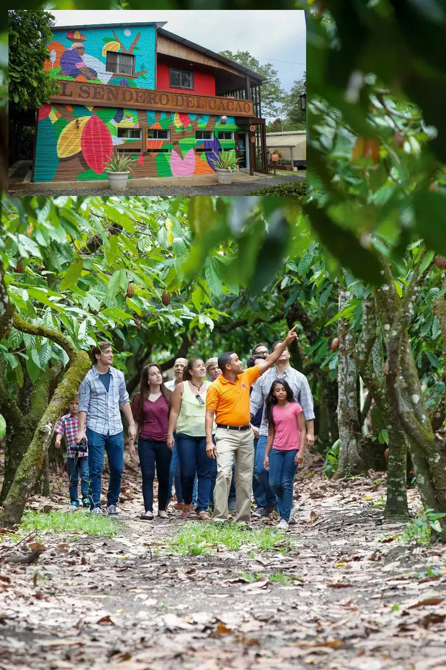 tour-cacao-plantation-el-sendero-del-cacao-chocolate-farm | NOTICIARIO RD Personas disfrutando del Sendero del Cacao en la provincia Duarte. Foto por tripadvisor