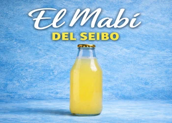 Imagen ilustrativa y conceptual utilizada con fines informativos.