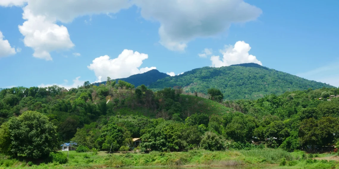 Foto por Jean Occeña on Unsplash