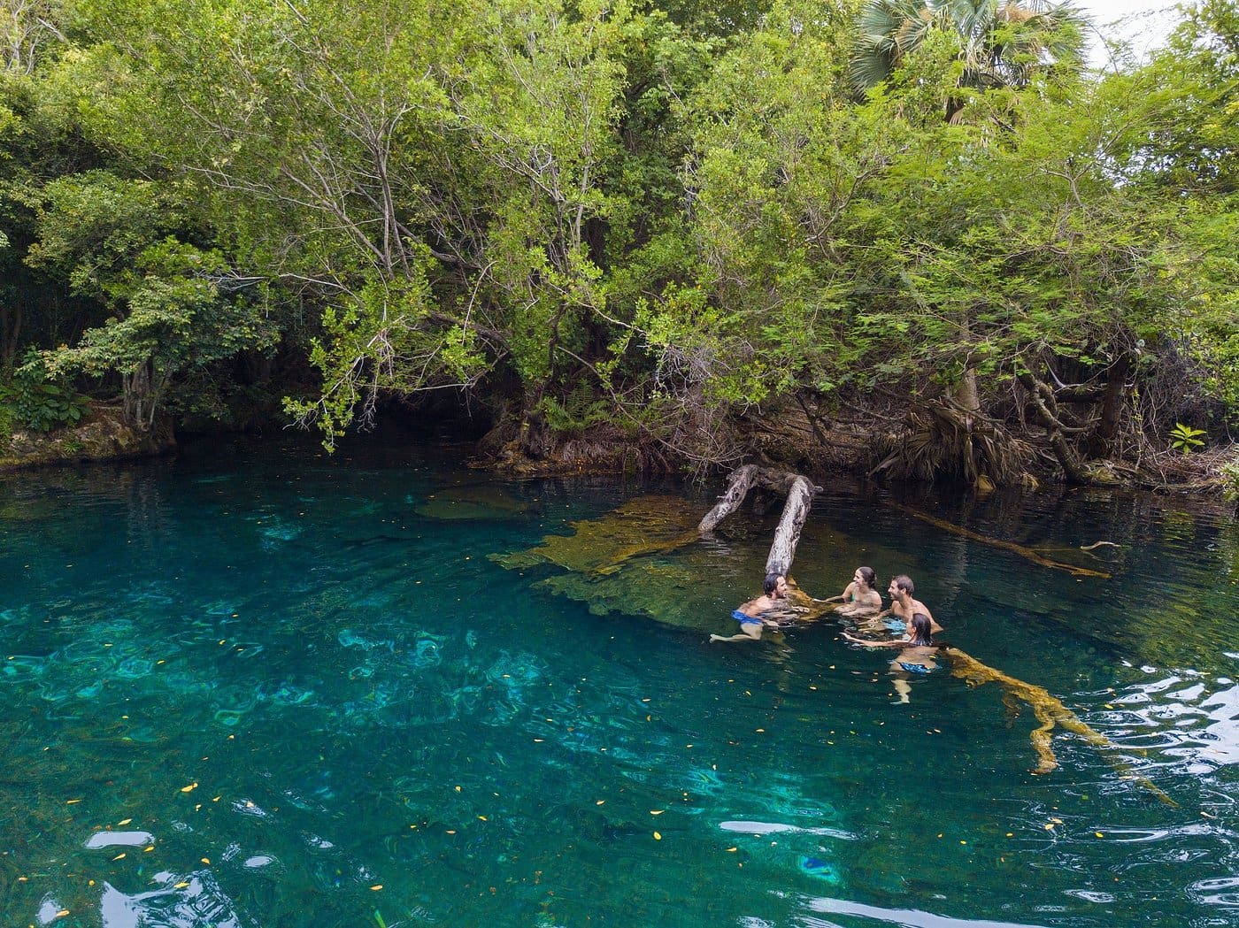 Familia disfrutando de un baño en el agua de Ojos Indígenas. Cortesía de Tripadvisor.