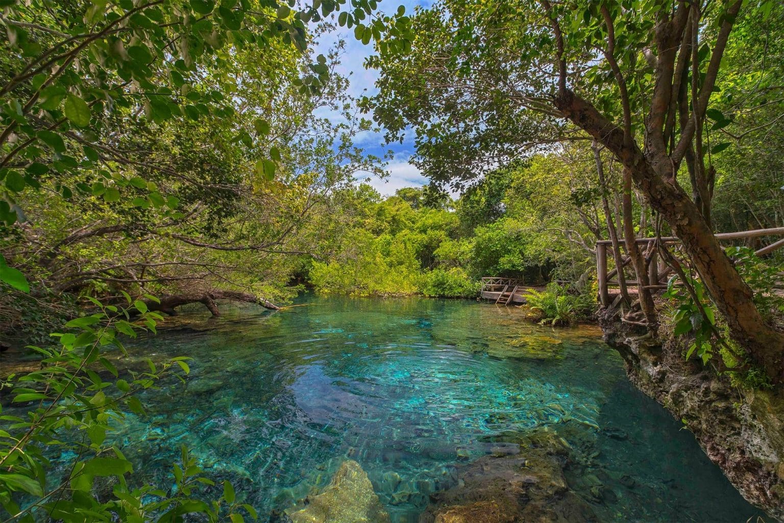 Reserva ecológica Ojos Indígenas. Cortesía de lahaciendapark.com