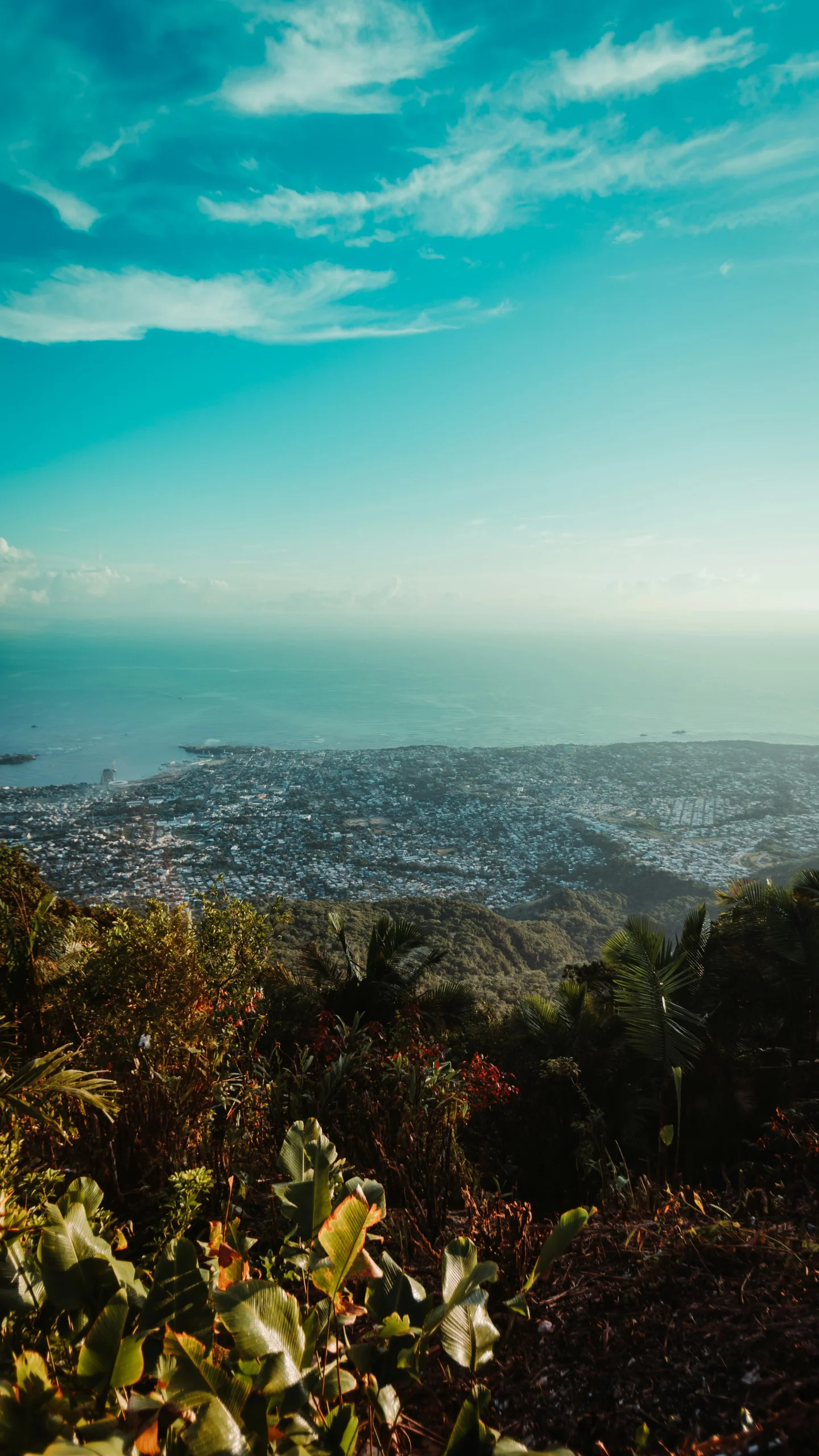 Puerto Plata. Foto por <a href="https://unsplash.com/@ronaldvargaz?utm_source=unsplash&utm_medium=referral&utm_content=creditCopyText">Ronald Vargas</a> on <a href="https://unsplash.com/photos/a-view-of-a-city-and-the-ocean-from-a-hill-u_vTFU-02XU?utm_source=unsplash&utm_medium=referral&utm_content=creditCopyText">Unsplash</a>