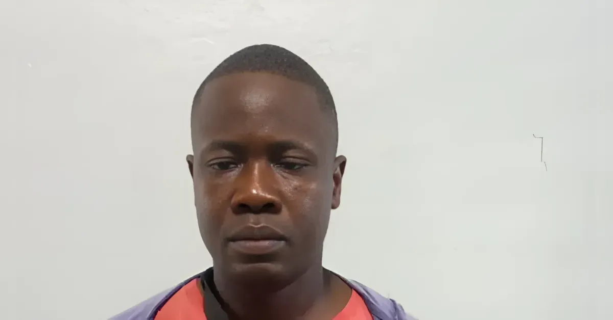 Portrait of a young man with short hair, looking straight at the camera, wearing a red shirt and purple jacket against a plain white wall.