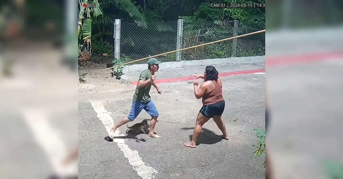 Surveillance frame of a man and woman sparring with a long wooden pole on a street; a small dog sits by the man's feet, fence and greenery in the background.