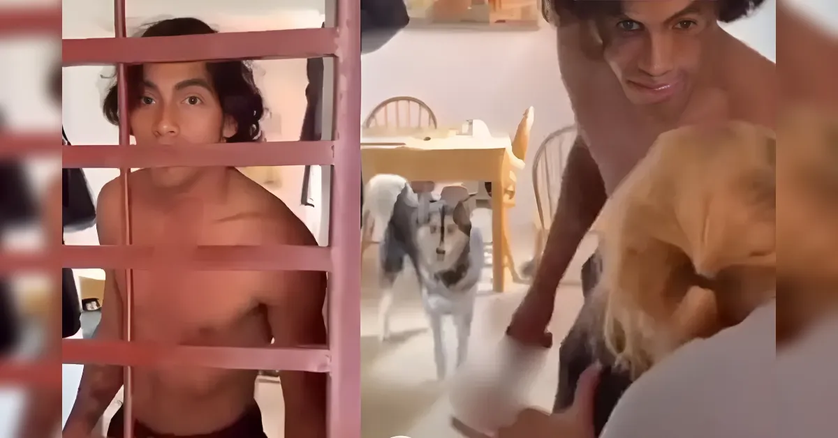 Two shirtless young men and a dog inside a home, with one man peering through pink metal bars in the foreground while another leans in from the right.