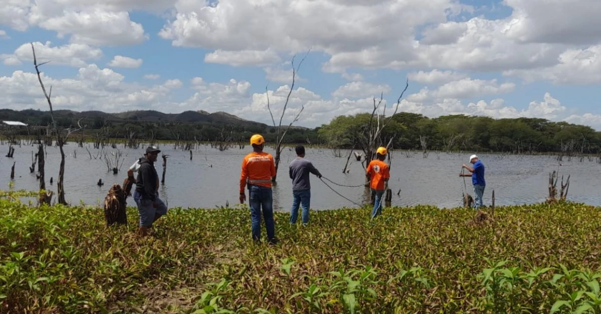 Group of people doing a lake cleanup along the shore, some in orange shirts and caps, handling a rope by a water-filled marsh with dead trees and blue sky above.