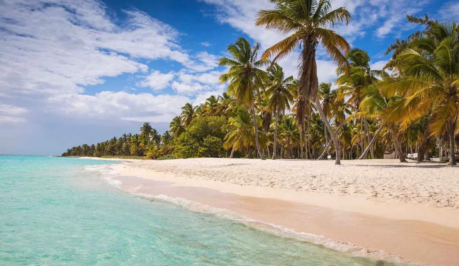 Tropical beach with white sand, turquoise water, and tall palm trees under a blue sky in sunlight.
