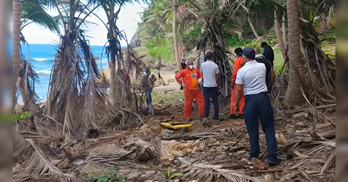 Emergency responders in orange uniforms gather on a palm-fringed beach, inspecting a yellow stretcher on the ground near fallen fronds.