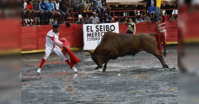 Incidente en corridas de El Seibo deja hombre perjudicado