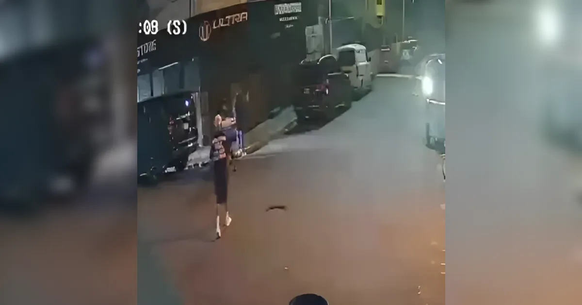 Person walking a small dog on a dimly lit urban street at night, with parked cars and storefronts in the background.
