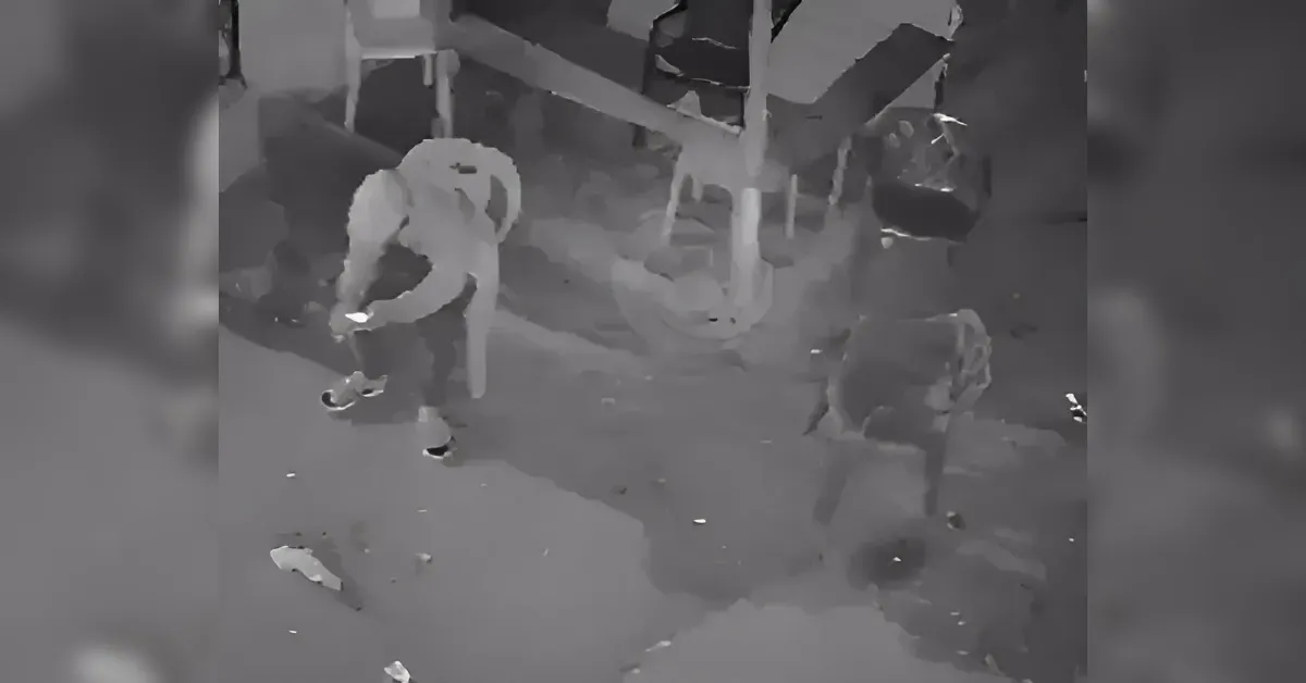 Grayscale surveillance image of a person crouching near a playground structure at night, holding an object while a dog stands nearby on a wet ground.