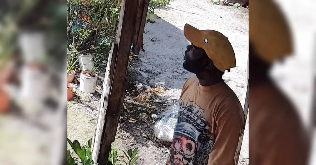 Man in a tan graphic tee and orange helmet stands beside a wooden post outdoors, looking upward toward something off-frame.