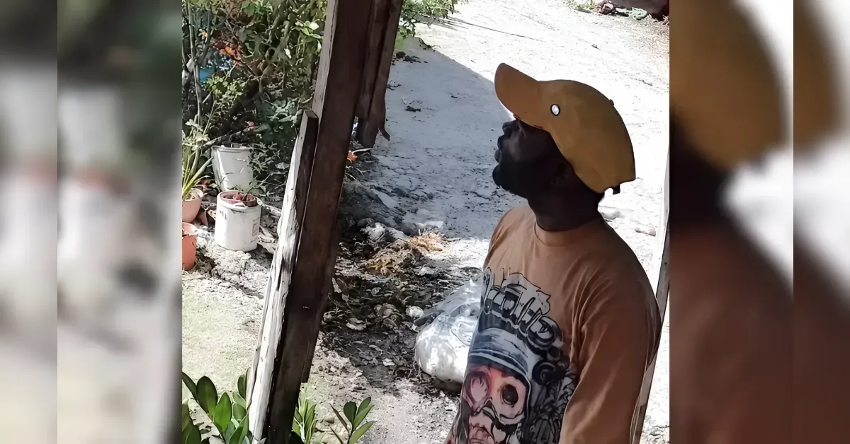 Portrait of a man wearing an orange cap and a skull-graphic shirt, looking upward beside a wooden post outdoors in a garden area.