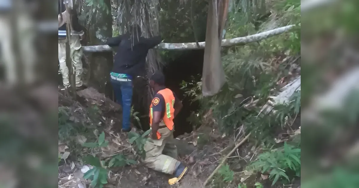 Worker in an orange safety vest kneels at a manhole entrance in a overgrown embankment, another person climbs into the opening to inspect inside.