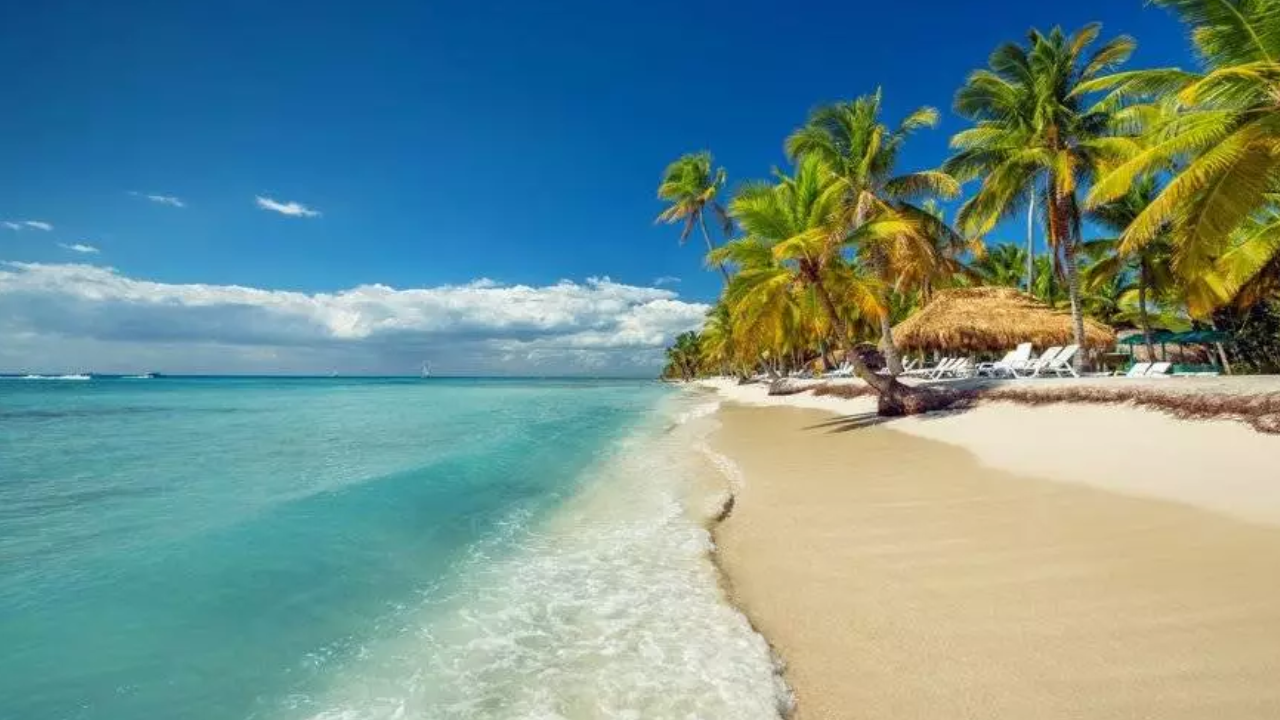 Tropical beach with turquoise water, golden sand, and palm trees with thatched shade huts and lounge chairs nearby.