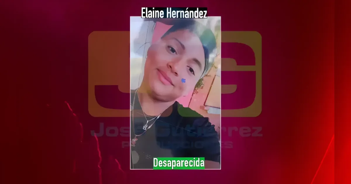 Selfie photo of a young woman with the label 'Desaparecida' (missing) at the bottom and her name 'Elaine Hernandez' at the top.