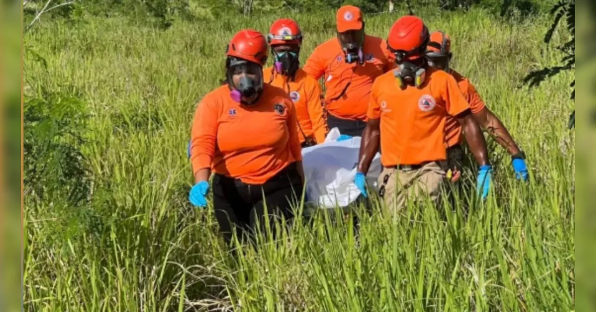 Rescue workers in orange uniforms with masks and gloves carry a white bag through tall grass in a field near a wooded area.