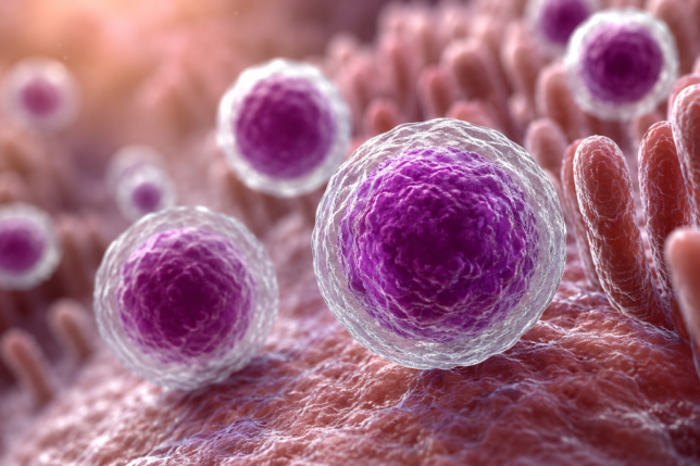 Ciclosporiasis en 32 estados: síntomas y cuándo puede ser grave
