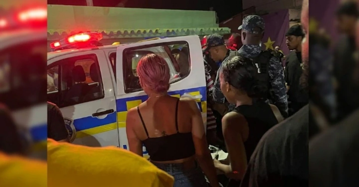 Nighttime scene with emergency responders around a white van with blue/yellow stripes and red flashing lights; a woman with pink hair stands nearby facing the open door.