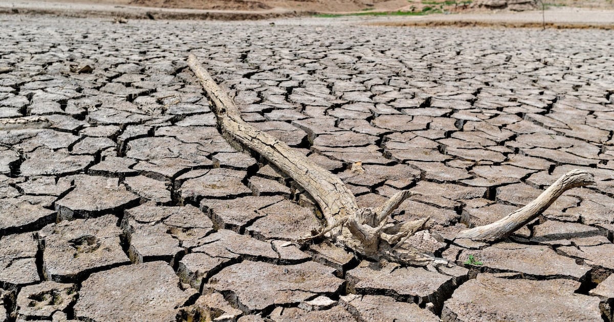 Parched, cracked earth with a dry branch lying across the ground, illustrating drought conditions.