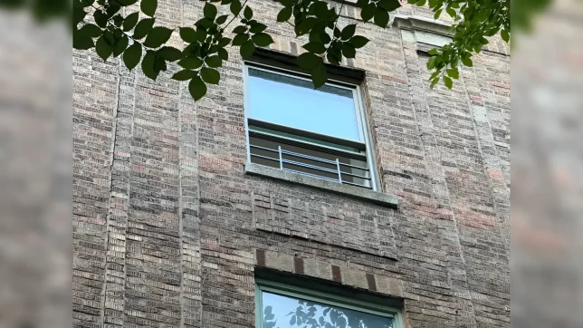Pequeño experimenta lamentable situación en Nueva York