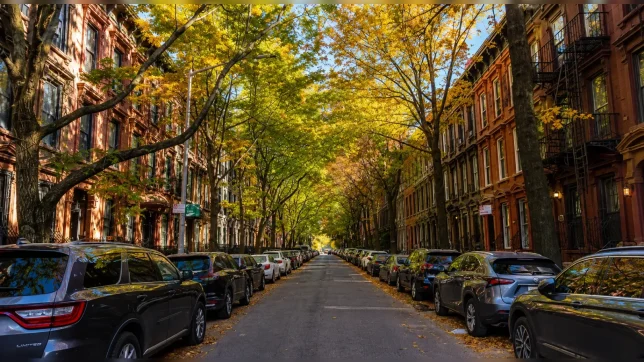 Policía busca identificar a hombre por caso en Park Slope