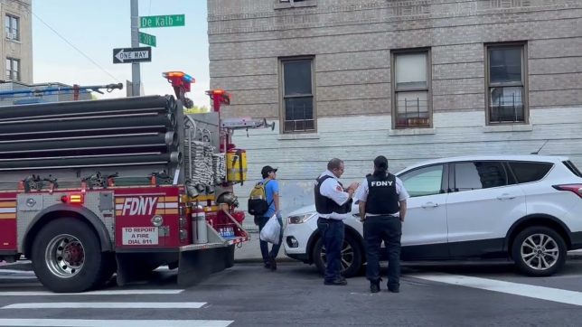 Incendio en Dekalb Avenue moviliza a 231 rescatistas