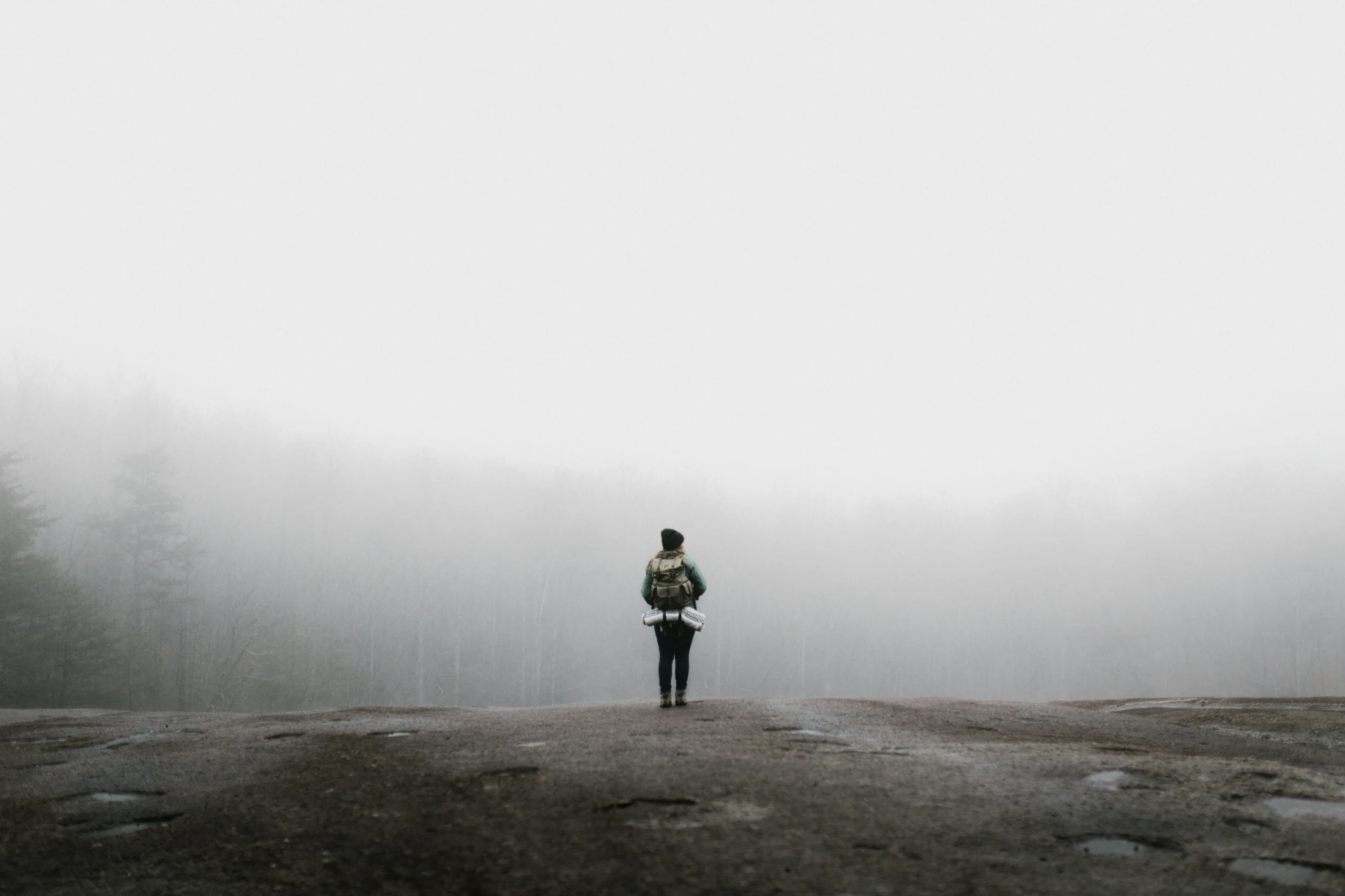 Foto por Andrew Neel on Unsplash
