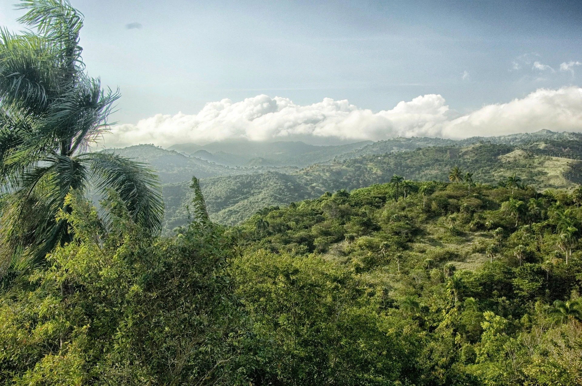 Paisajes naturales y áreas protegidas de la provincia Independencia — portada