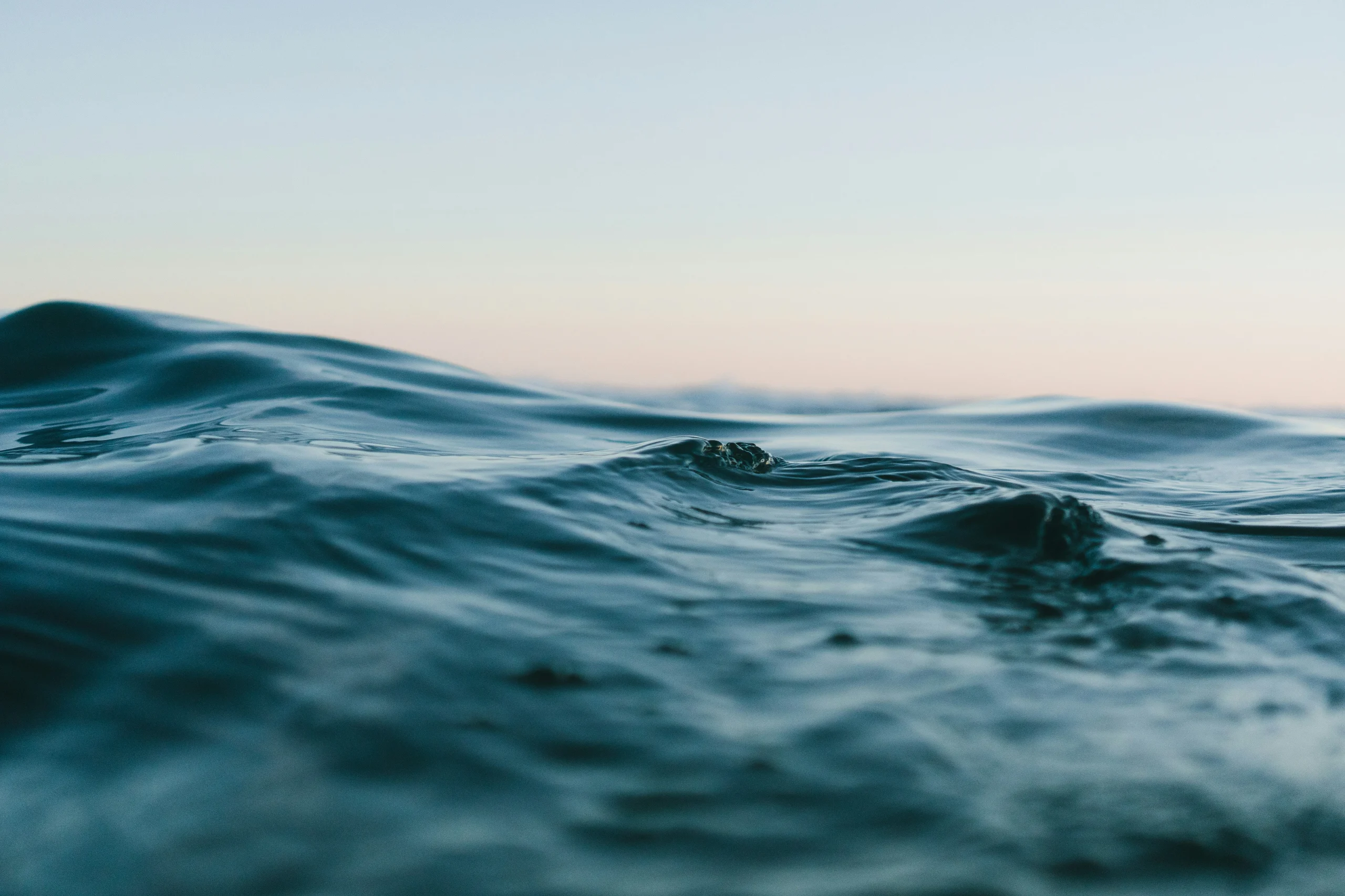 Foto por Matt Hardy on Unsplash