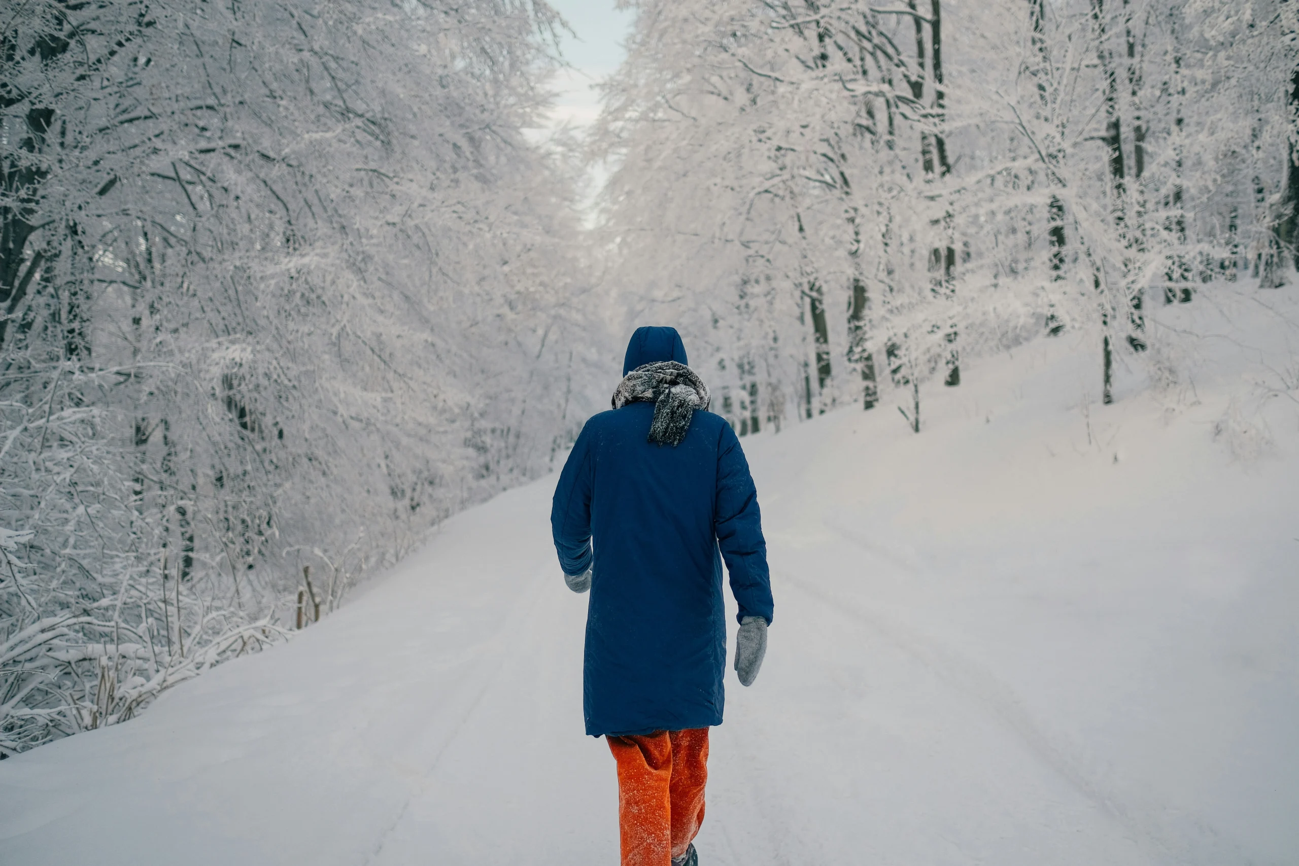 Foto por Nenad Radojčić on Unsplash