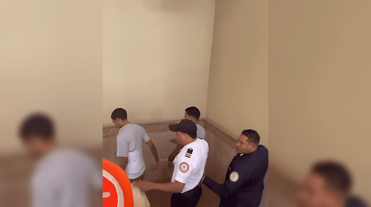 pasted image 1764269722614