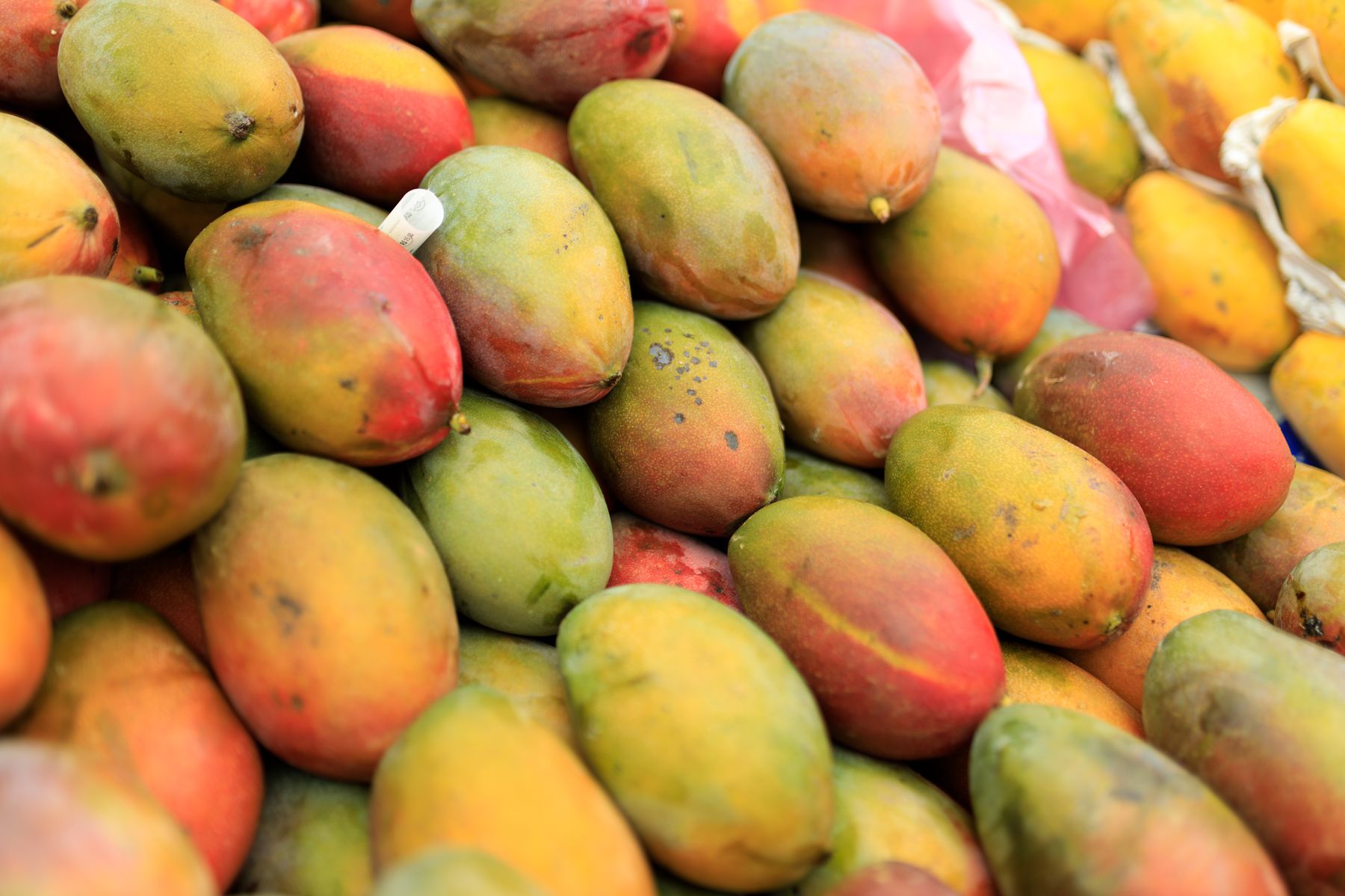 Mangos frescos exhibidos en un mercado