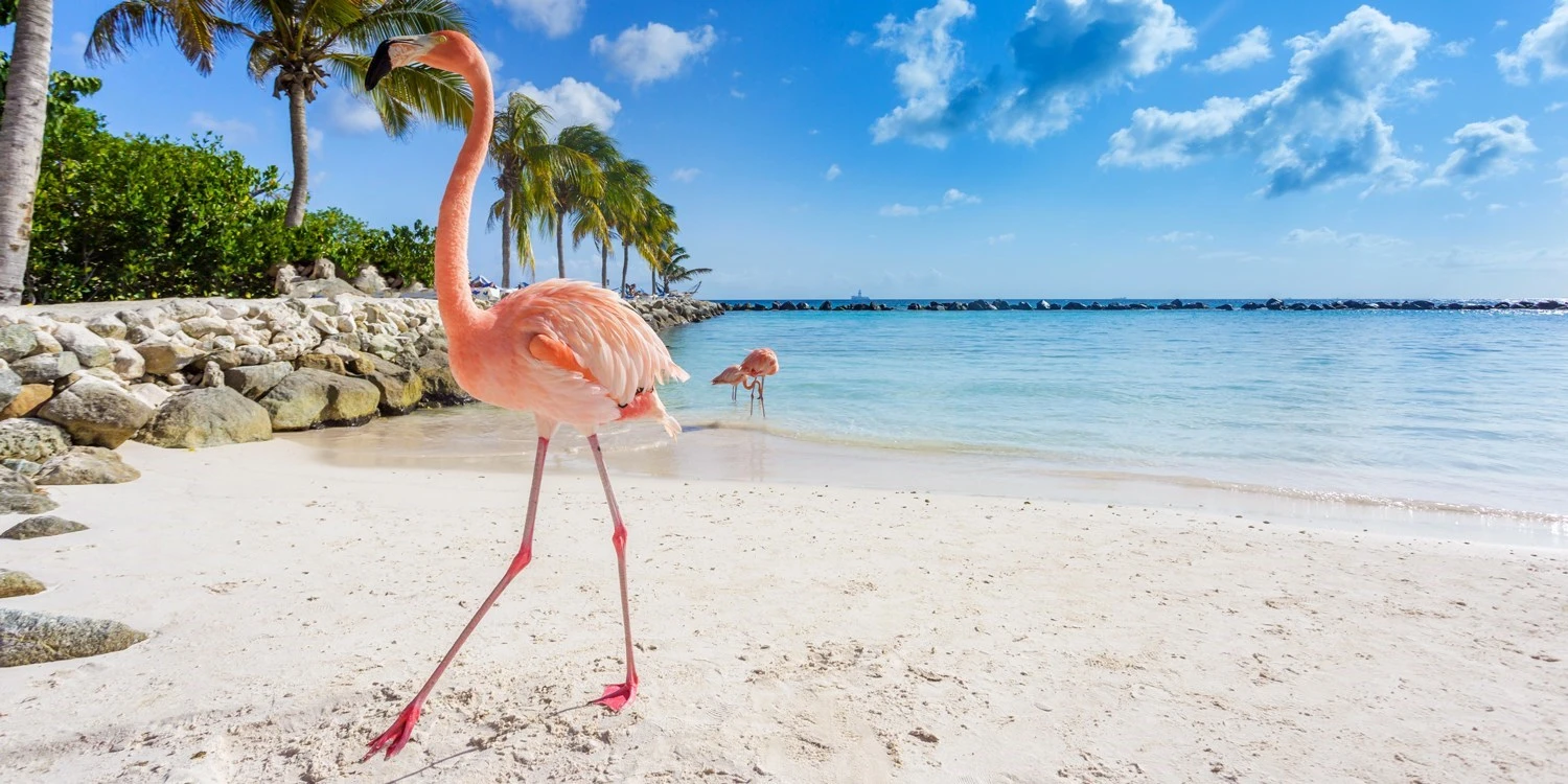 Comparación de islas del Caribe para un viaje — portada