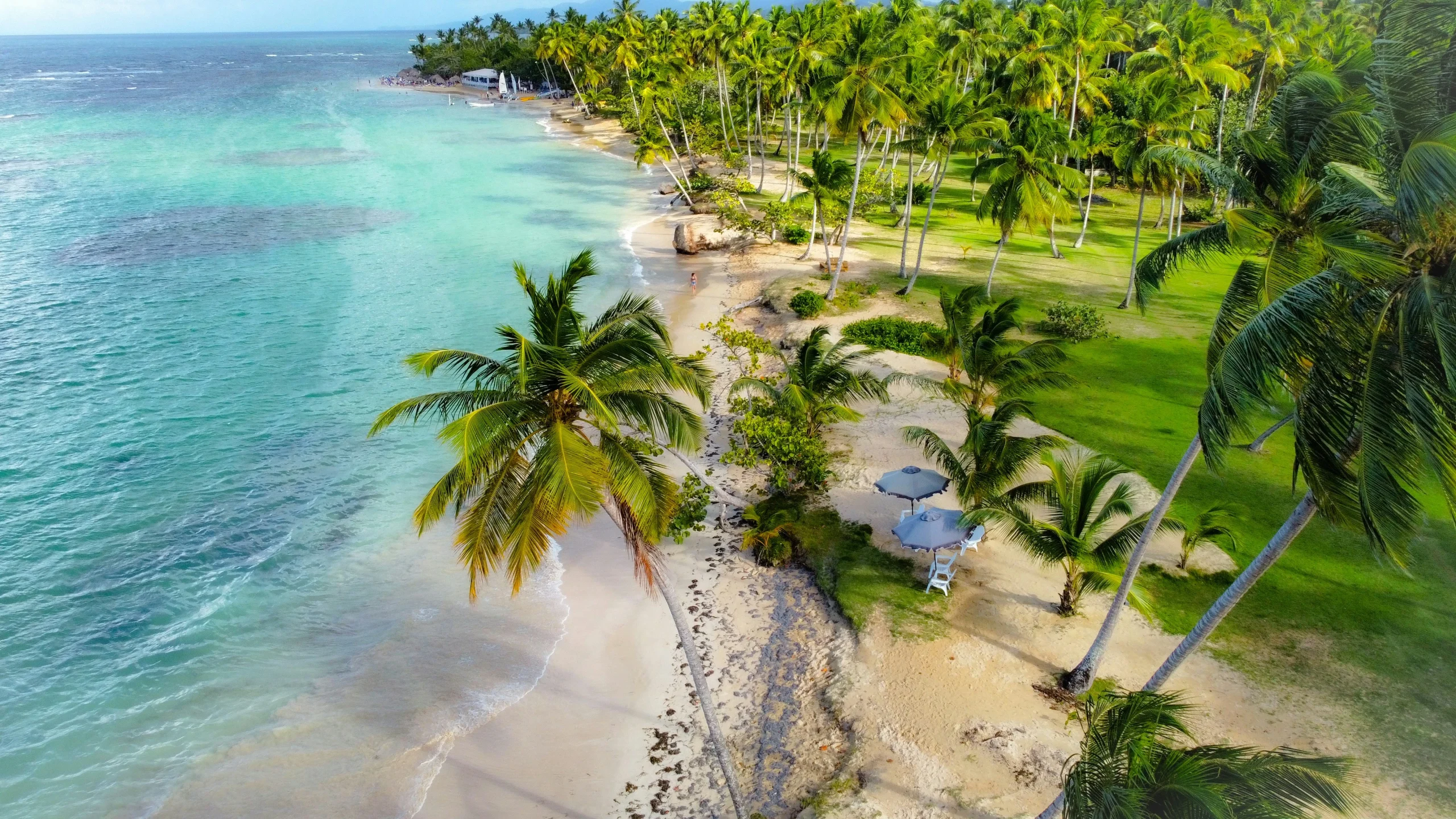 Viaje responsable por playas y naturaleza de Samaná — portada